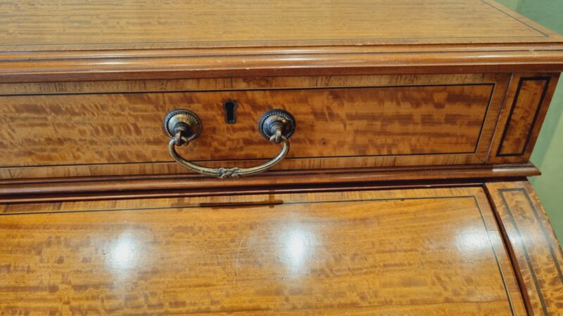 Satinwood